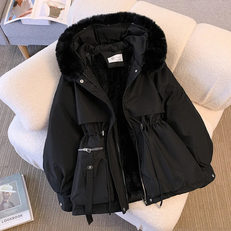 Coat Jynari