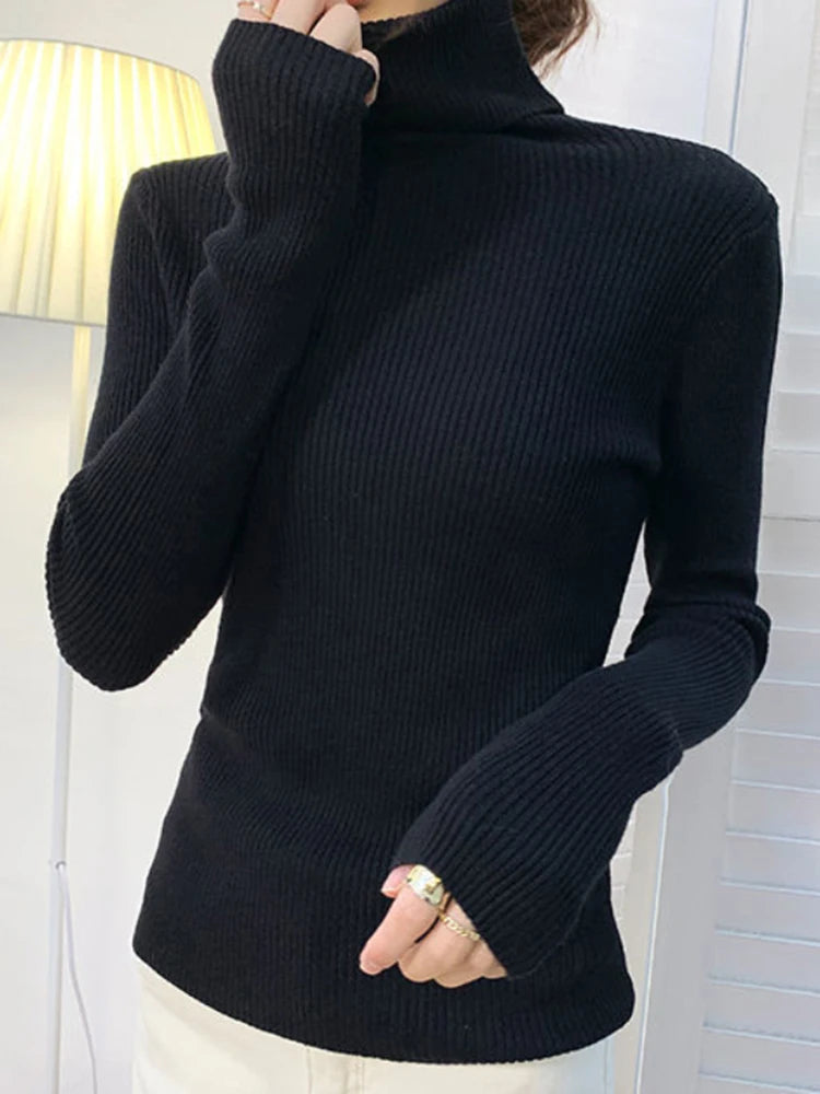 Halora Sweater